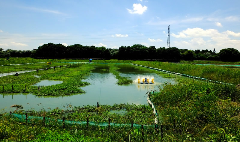 养殖基地